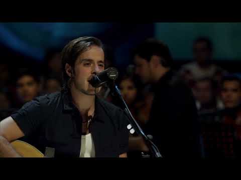 Panda Unplugged 11 || Hombre de lata.