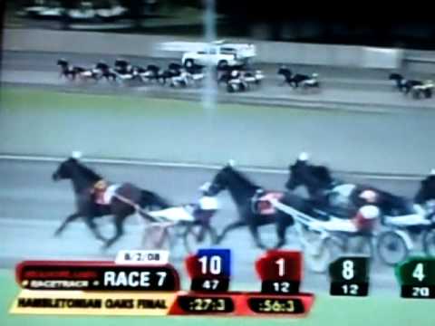 2008 Hambletonian Day - Race 7 - Hambletonian Oaks