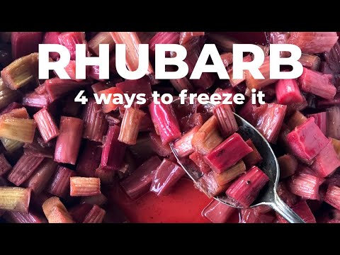 4 ways to FREEZE RHUBARB