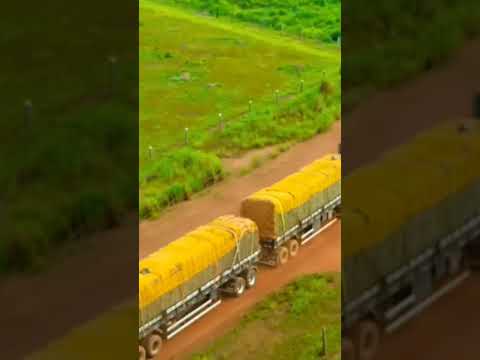 De Floresta do Araguaia PA  pra Porto Alegre RS🍍🍍🍍