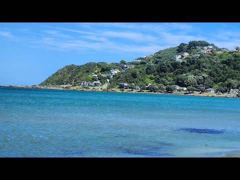 Most Beautiful Place you must visit in Wellington New Zealand Lyall bay beach