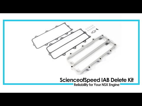 ScienceofSpeed Intake Air Bypass (IAB) Delete Kit - NSX, 1991-05