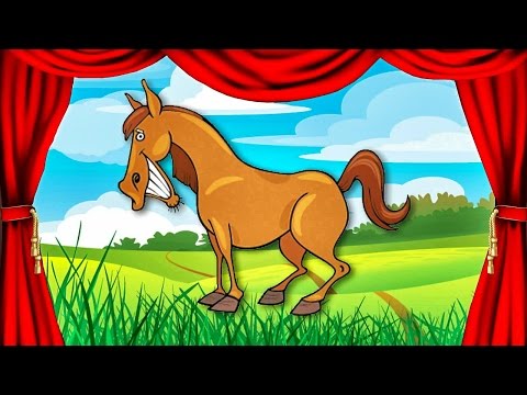 O som dos animais - Como é o som? - 1