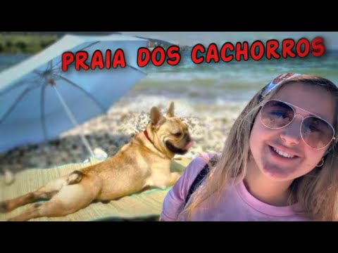 PRAIA DOS CACHORROS NOS EUA