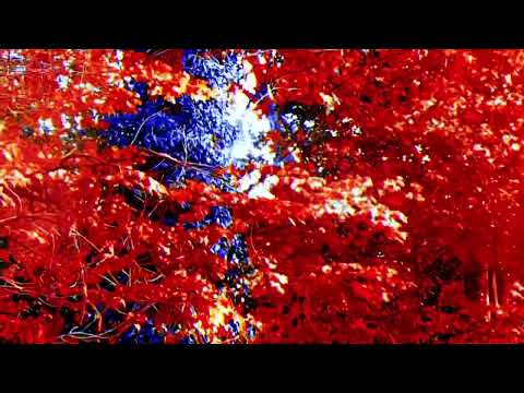 BROKEN FLOW x MOBBS RADICAL- VENOM(PROD. CHAIN)