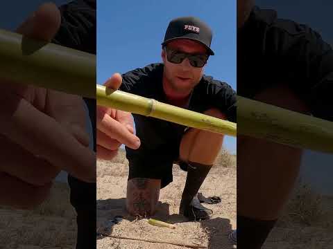 MAKING HAND SPEAR TO CATCH FOOD