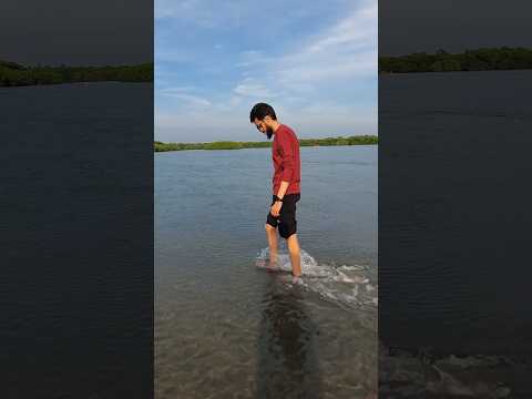 Stunning Negombo Lagoon Nature Sri Lanka Short — Salman Travel Diaries