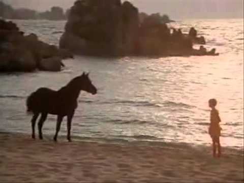 The Black Stallion 01