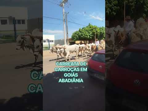 CARREATA DE CARROÇAS EM GOIÁS ABADIÂNIA