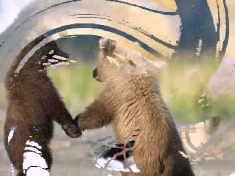 Hento kuiskaus - Suvi Teräsniska