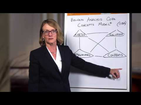 The Business Analysis Core Concept Model®