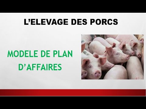 , title : 'Business Plan pour Elevage des Porcs'