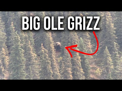 How to Hunt in Grizzly Country & Tips to Stay Safe!