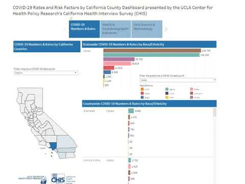 COVID-19 Race/Ethnicity and Risk Factors Dashboard Tutorial