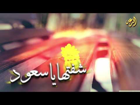 شيلة شفتها يا سعود صدفة mp3