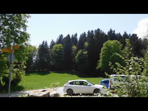 大自然の中でハイレベルな幼児教育・プレフルーリの校舎校庭【スイス留学.com】