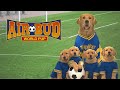 AIR BUD WORLD PUP Official Movie