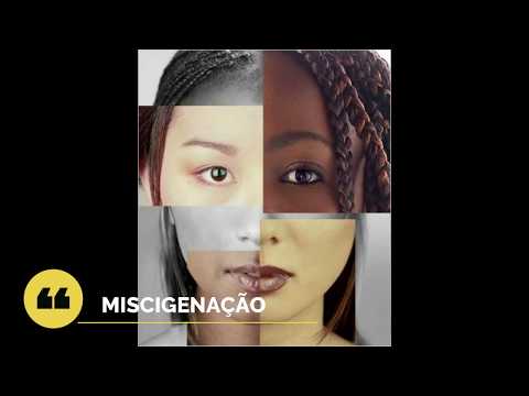 Geografia do Brasil - Região Norte