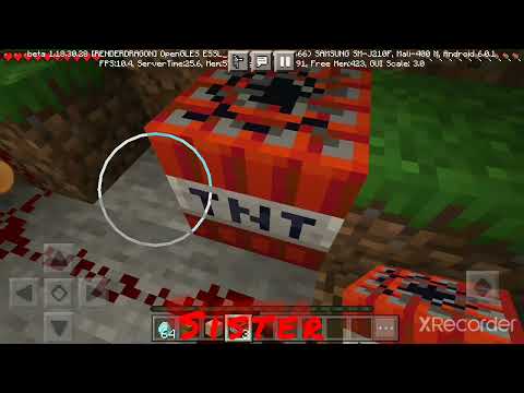 Minecraft secret room but I trap my sister 😈😈