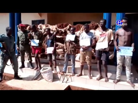 PIDGIN NEWS TUESDAY 17th NOVEMBER 2020 - ÉQUINOXE TV