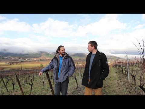 download lagu mp3 mp4 La Vrille Et Le Papillon, download lagu La Vrille Et Le Papillon gratis, unduh video klip La Vrille Et Le Papillon