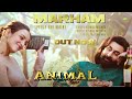 ANIMAL: Marham (Pehle Bhi Main) (Song) Ranbir Kapoor,Tripti Dimri |Sandeep|Vishal M,Raj S|Bhushan K
