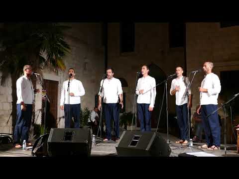 Klapa Bunari -  Mi smo prvaci (LIVE)