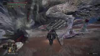 [ELDEN LING]#6 お手伝いします！