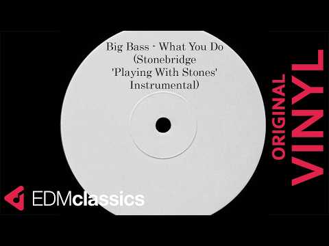 Big Bass vs. Michelle Narine - What You Do (Stonebridge 'Playing With Stones' Instrumental) (2000)