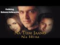 NA TUM JANNO NA HUM 2002 Hrithik Roshan Saf Ali Khan Esha Doel Dubbing Indonesia