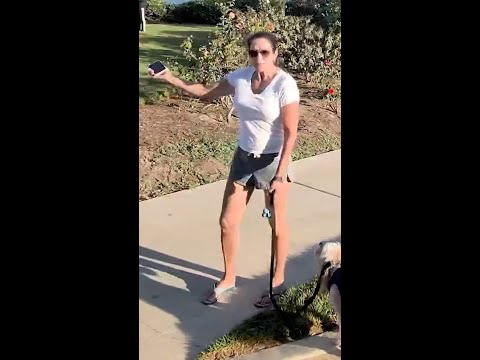 Woman shouts racist comments during couple's engagement