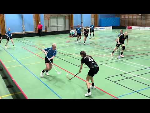 Highlights Damer B Åstorp/Kvidinge IBS - Åkarps IBK 2-5