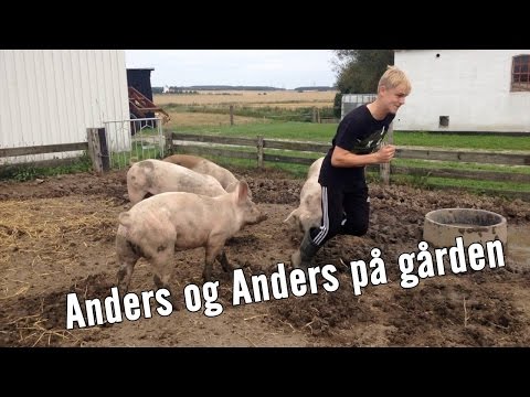 Anders og Anders på gården