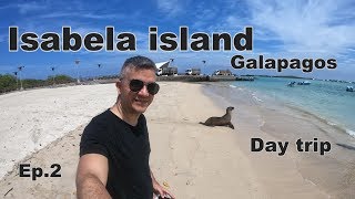 Day trip to Isabela Island, Galapagos Ep.2