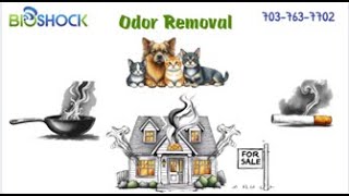 Home Odor Removal with BioShock