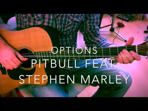 Options - Pitbull