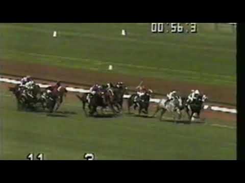 1992 Newmarket Handicap - Schillaci