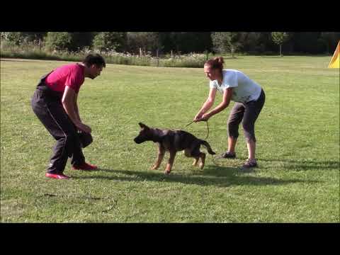 X z Jukasu - protection training - 4 months