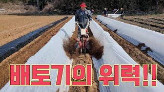 배토기의 위력!! 고추농사 잘 짓는법!!