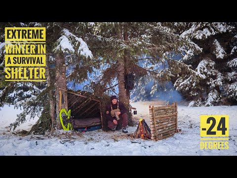 3 DAY Winter Bushcraft In Extreme Temperatures - Survival Shelter & Raised Bed - NO FOOD