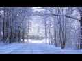 See, Amid the Winter's Snow — Anthony Way & The Choir of St Paul's Cathedral