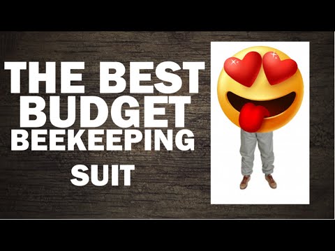 Best Budget Beekeeping Suit