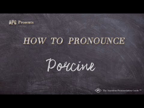 How to Pronounce Porcine (Real Life Examples!)