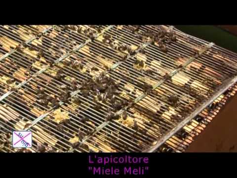 Limpotenza di bromo Emozionante rimedio popolare per le donne
