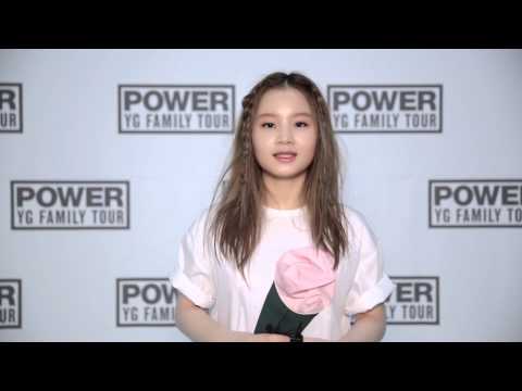 YG FAMILY CONCERT 2014 「POWER」IN JAPAN (LEEHI)