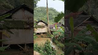 Download lagu Kampung Sunda Pisan | Pedesaan Sunda Jawa Barat mp3 Download lagu Kampung Sunda Pisan | Pedesaan Sunda Jawa Barat mp3