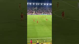 Esultanza Goal Iemmello Catanzaro SudTirol