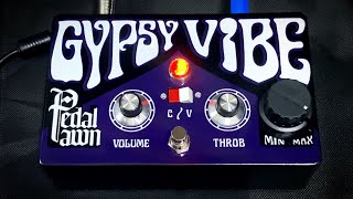 Video thumbnail for Pedal Pawn GYPSY VIBE ™ Official Demo by Pedal Pawn