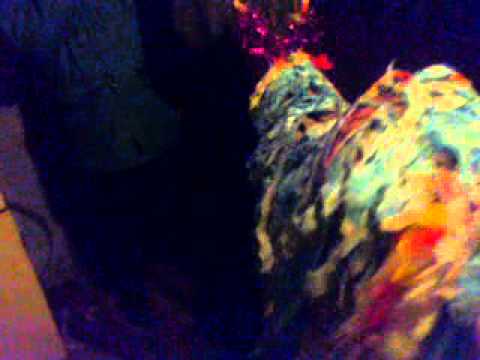 Capra de la Stioborani!