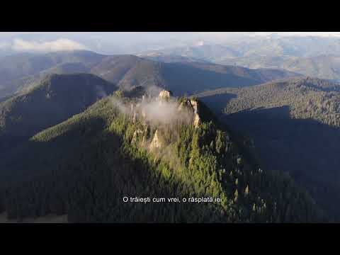 Gabi Ilut - Zi de har! @GabiIlutOfficial